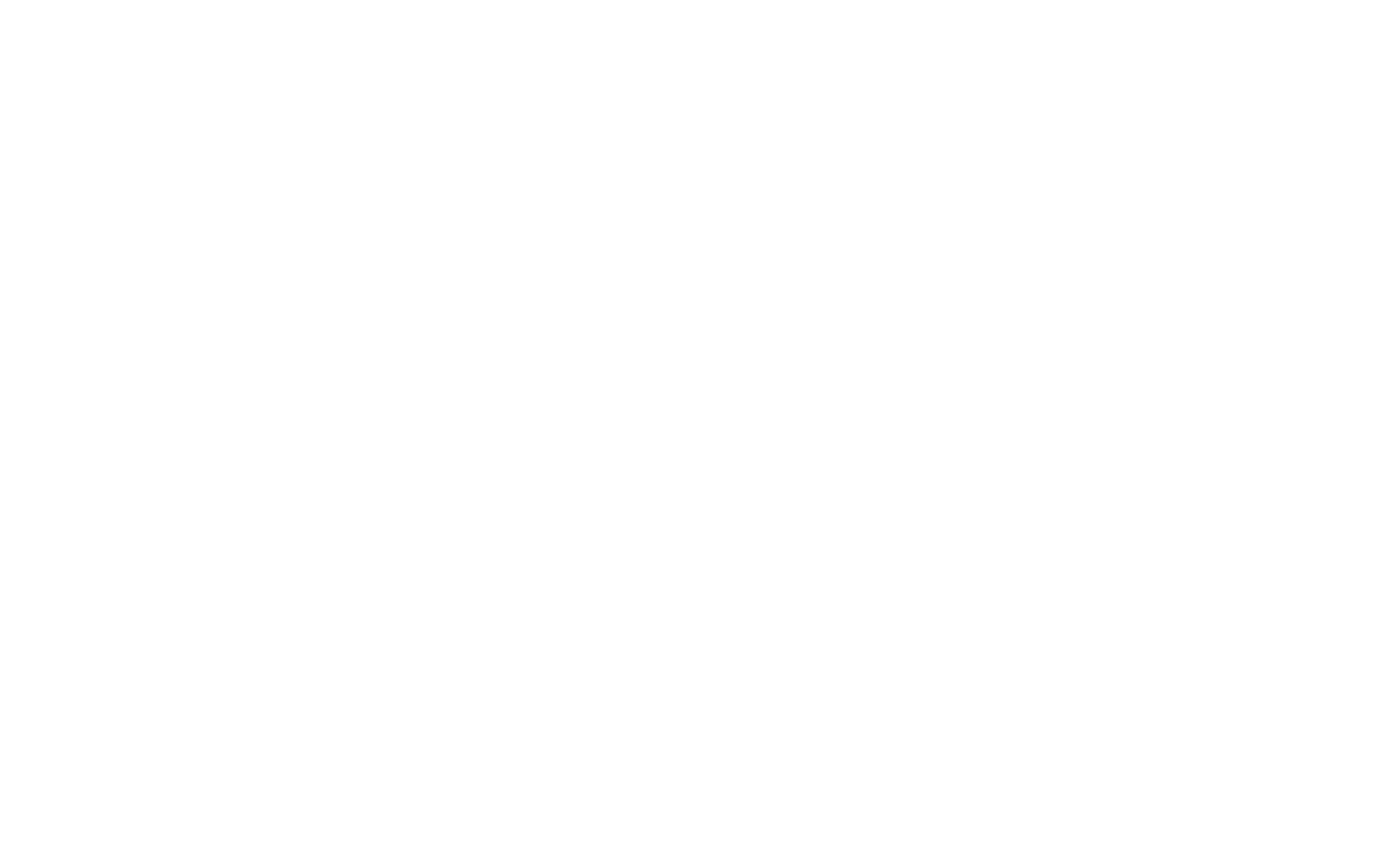 Red Wing Shoes